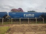 RUMO HTT-352845-6
